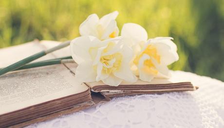 Mon bilan livresque de mai 2019