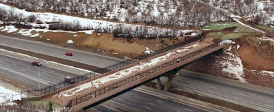 Où sont les animaux ?