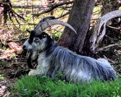 Mittenwald - Lautersee / Steingarten - 01.016. 19. - 25 Bilder.