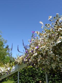 Le Festival International des Jardins de Chaumont sur Loire (41)