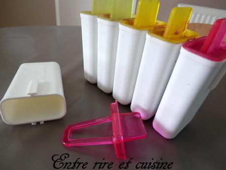 Esquimaux au chocolat {sans oeufs} Esquimaux au chocolat {sans oeufs}