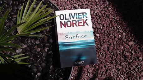 Surface – Olivier Norek