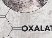 Oxalate, René-Marc Jolidon
