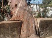 Divers L'art dans Nature