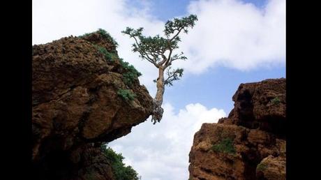 Divers - L'art dans la Nature - 3