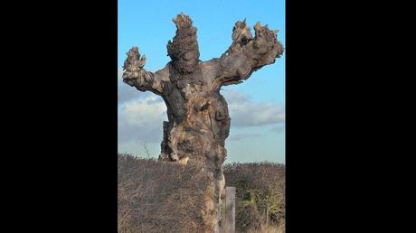 Divers - L'art dans la Nature - 3