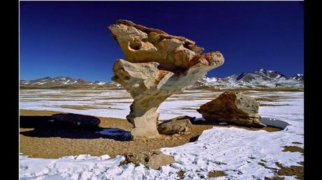 Divers - L'art dans la Nature - 3