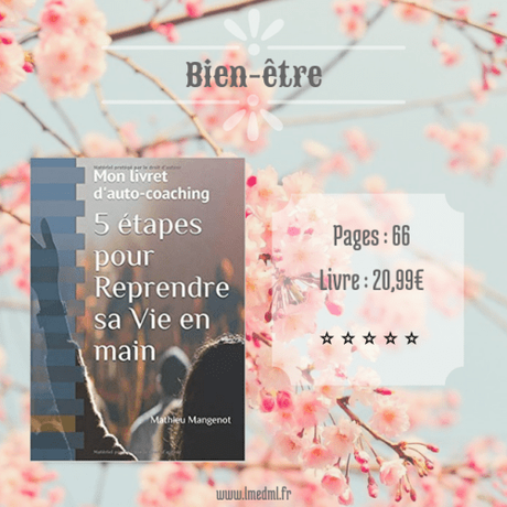 5 étapes pour Reprendre sa Vie en main » Mathieu Mangenot