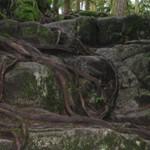 Le V3H.com – Port Moody, Coquitlam, Port Coquitlam
 – Bière artisanale