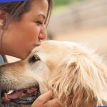 Le V3H.com – Port Moody, Coquitlam, Port Coquitlam
 – Bière artisanale