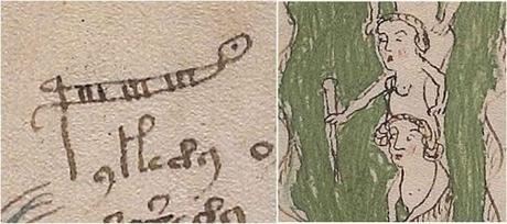 Le manuscrit de Voynich déchiffré: il serait écrit en Proto-Roman