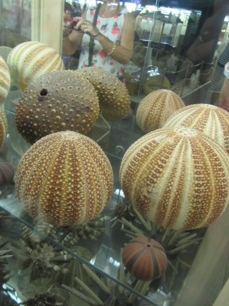 La France - St Gilles Croix de vie - Le musée