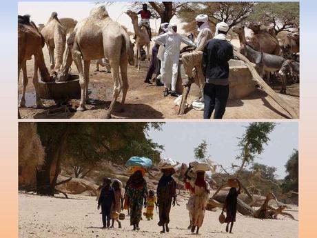 Pays Etranger - Le Tchad - 2