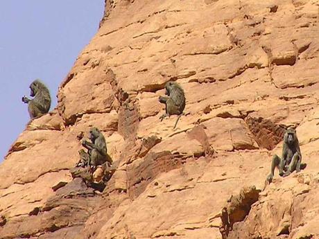 Pays Etranger - Le Tchad - 2