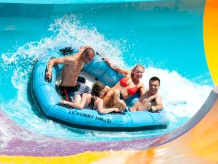 Événements de San Diego, septembre 2019
 – Bière artisanale