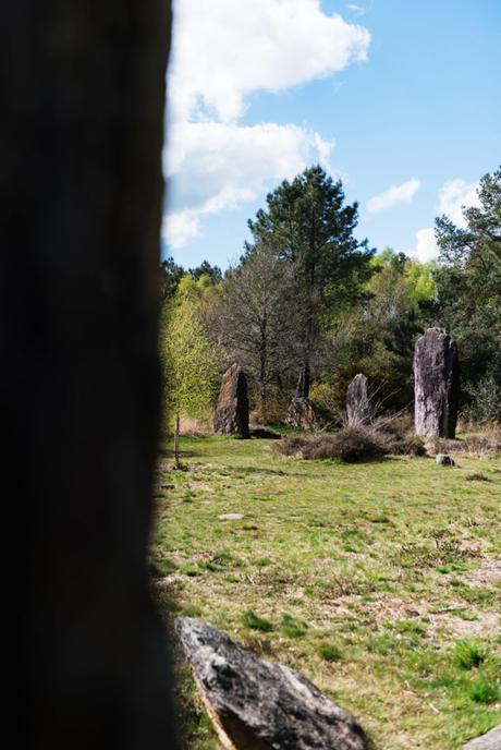 Vacances en Bretagne avec nos 4 enfants. Promenade dans le domaine des Menhirs de Monteneuf