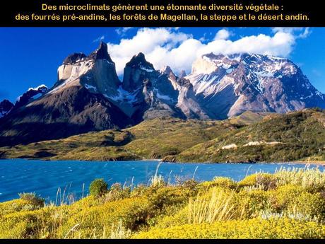 Pays Etranger - La Patagonie Chilienne - 2