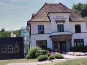 Céleste Boursier-Mougenot