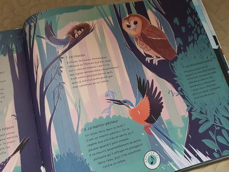 Le monde des oiseaux de Robert Hunter ♥ ♥ ♥