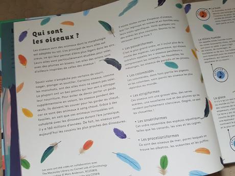 Le monde des oiseaux de Robert Hunter ♥ ♥ ♥