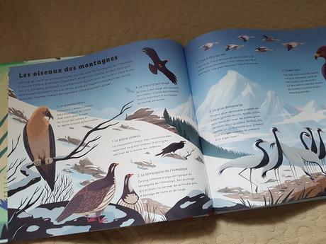 Le monde des oiseaux de Robert Hunter ♥ ♥ ♥