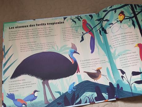 Le monde des oiseaux de Robert Hunter ♥ ♥ ♥