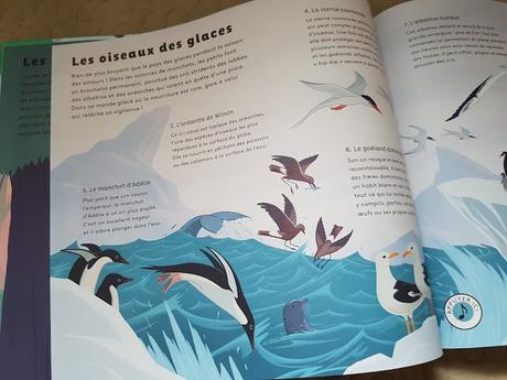 Le monde des oiseaux de Robert Hunter ♥ ♥ ♥