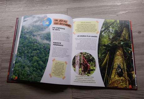 Voir avec un drone : les merveilles de la terre