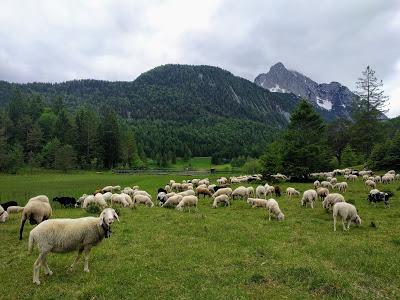 Idylle in Mittenwald - Idylle bucolique à Mittenwald