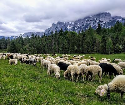 Idylle in Mittenwald - Idylle bucolique à Mittenwald