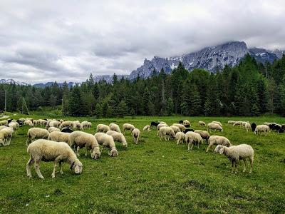 Idylle in Mittenwald - Idylle bucolique à Mittenwald