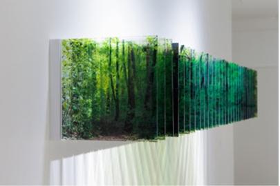 Nobuhiro Nakanishi Layer Drawing (Light of Forest), 2013, impression jet d'encre sur film, plastique acrylique, (30 feuilles) 28,5 x 198 x 31 cm.