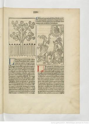 1482 Mirouer de la redempcion de l'umain lignage Reserve des livres rares, Res. A 1243 Gallica