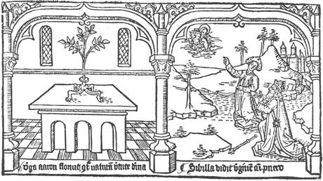 1468 Speculum humanae salvationis Sibilla vidit virginem cum puero Pays Bas Premiere ed latine