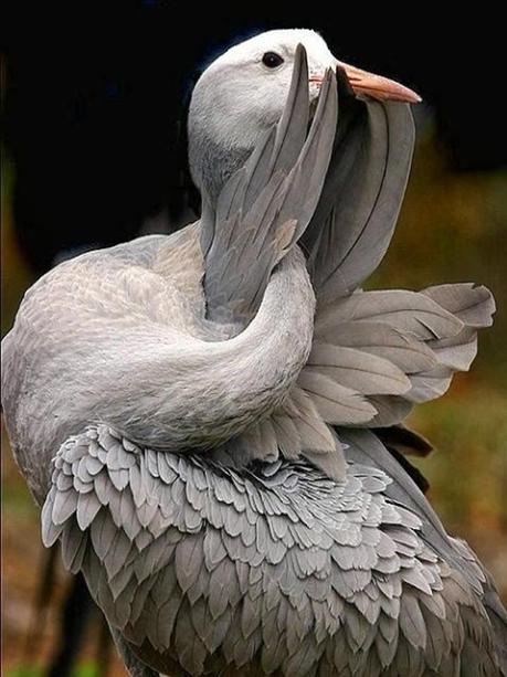 Divers - Quelques  jolies petites familles - 2