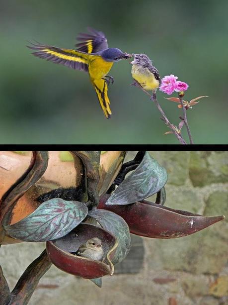 Divers - Quelques  jolies petites familles - 2