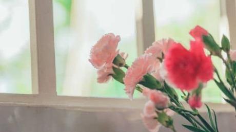 20 idées de mini rituels à faire quand vous êtes pressée ! 20 idées de mini rituels à faire quand vous êtes pressée !