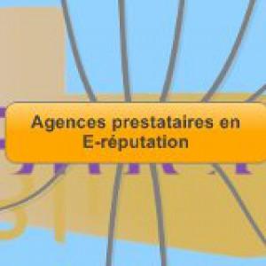 Cartographie : Les agences d'E-réputation en France
