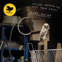 Erlend Apneseth Trio & Frode Haltli ‘ Salika, Molika