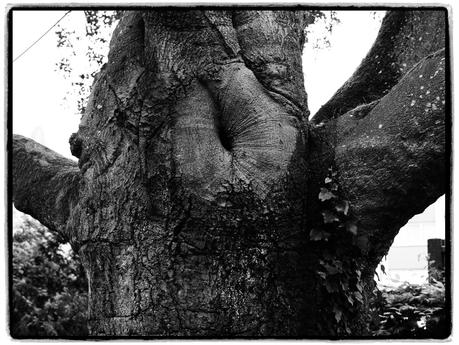 Il y a moi qui me dissous dans l'infiniment grand