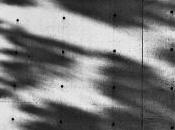 Silvaine Arabo [L’ombre lumière]