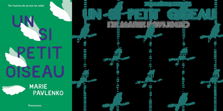 PREMIÈRES LIGNES #67 : Un si petit oiseau