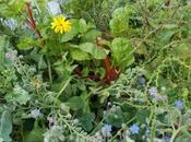 bénéfices associations culture