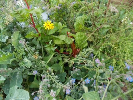 Les bénéfices des associations de culture