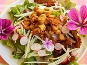 Salade lardons Vegan, chou-rave radis
