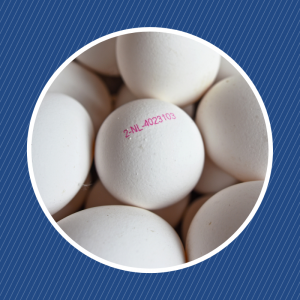 Que signifie le code imprimé sur les œufs ?