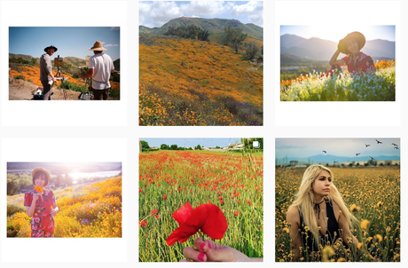 Lâchons Instagram et voyageons !