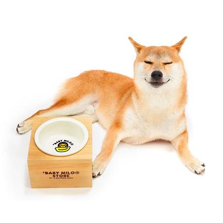 Bape sort une série d’accessoires pour chiens Bape sort une série d’accessoires pour chiens