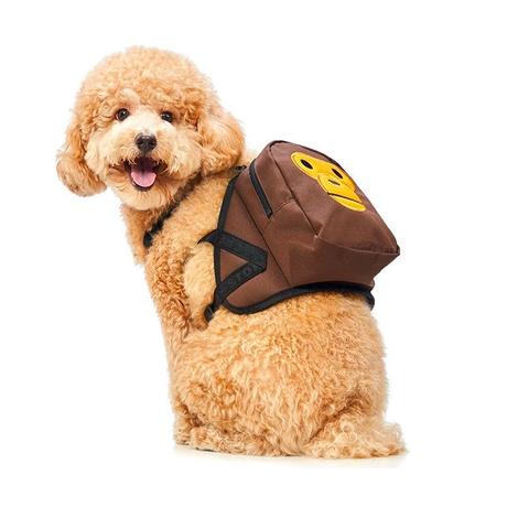 Bape sort une série d’accessoires pour chiens Bape sort une série d’accessoires pour chiens