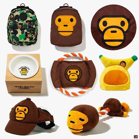 Bape sort une série d’accessoires pour chiens Bape
